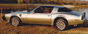 1979 Pontiac TA