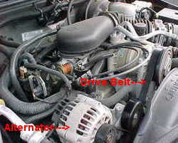 image of alternator drive belt