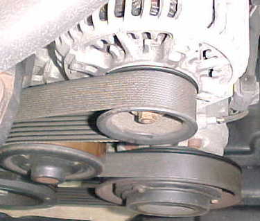 Corolla engine belt