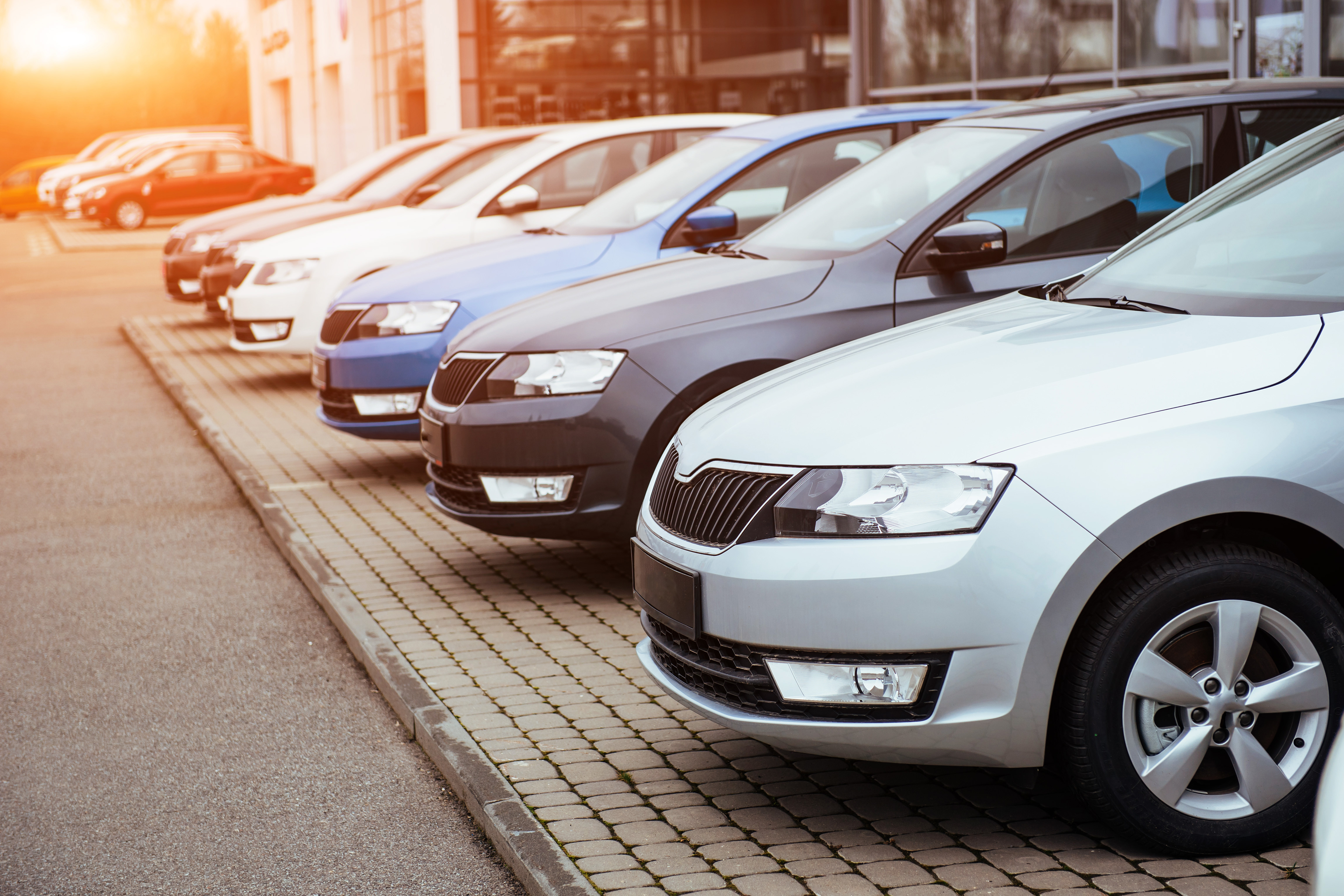 used cars parked in a row at a car dealership