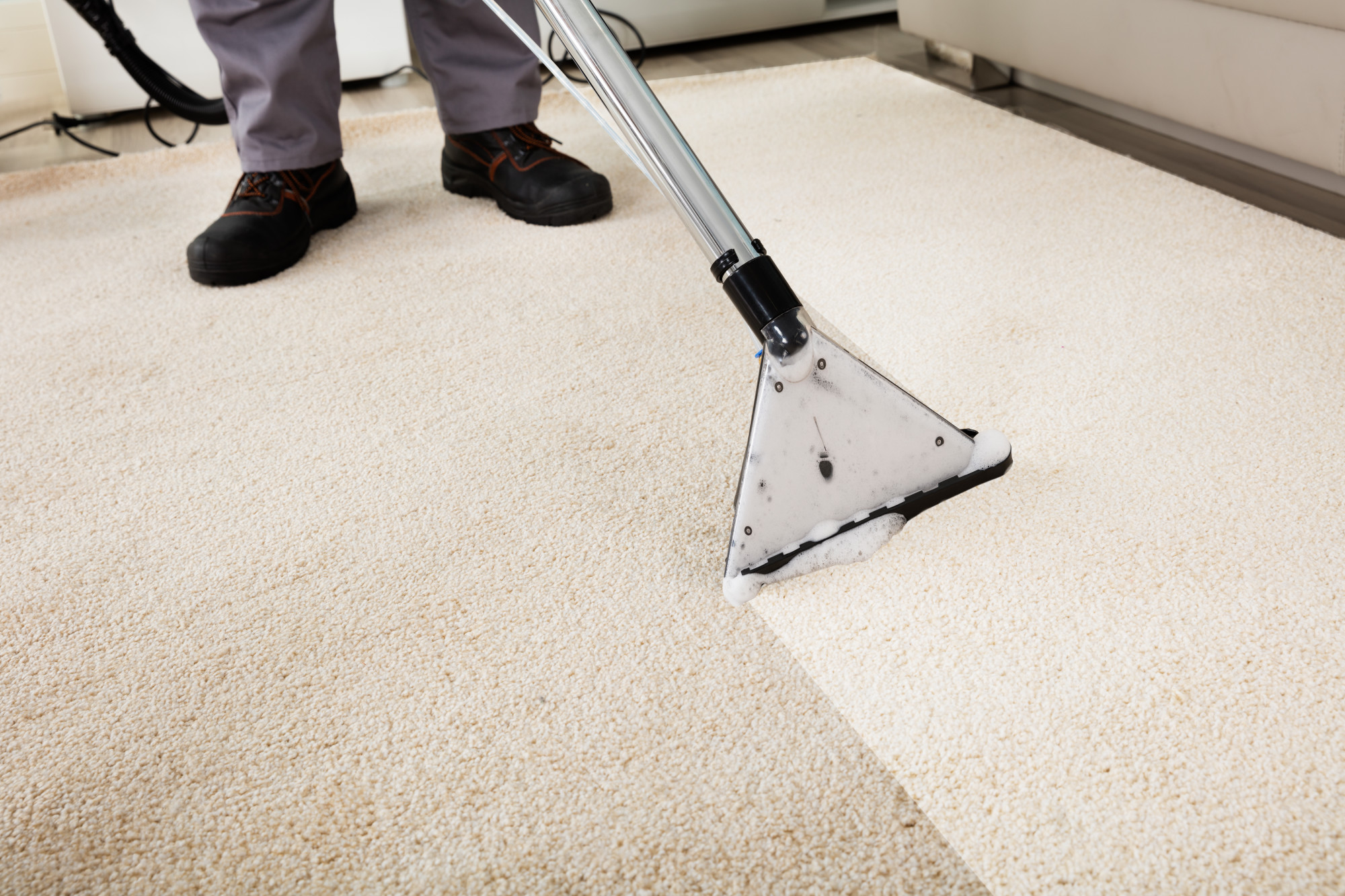 carpet cleaner